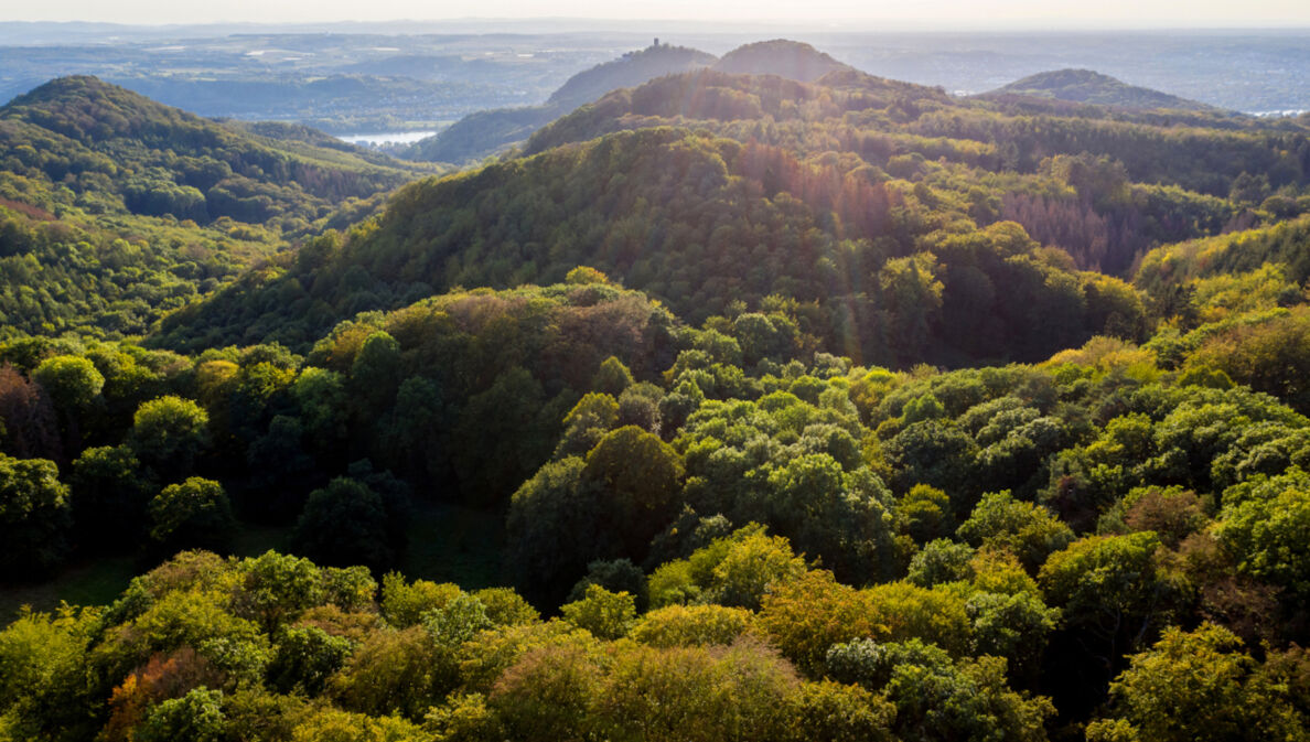 Blick auf das Siebengebirge nahe Bonn