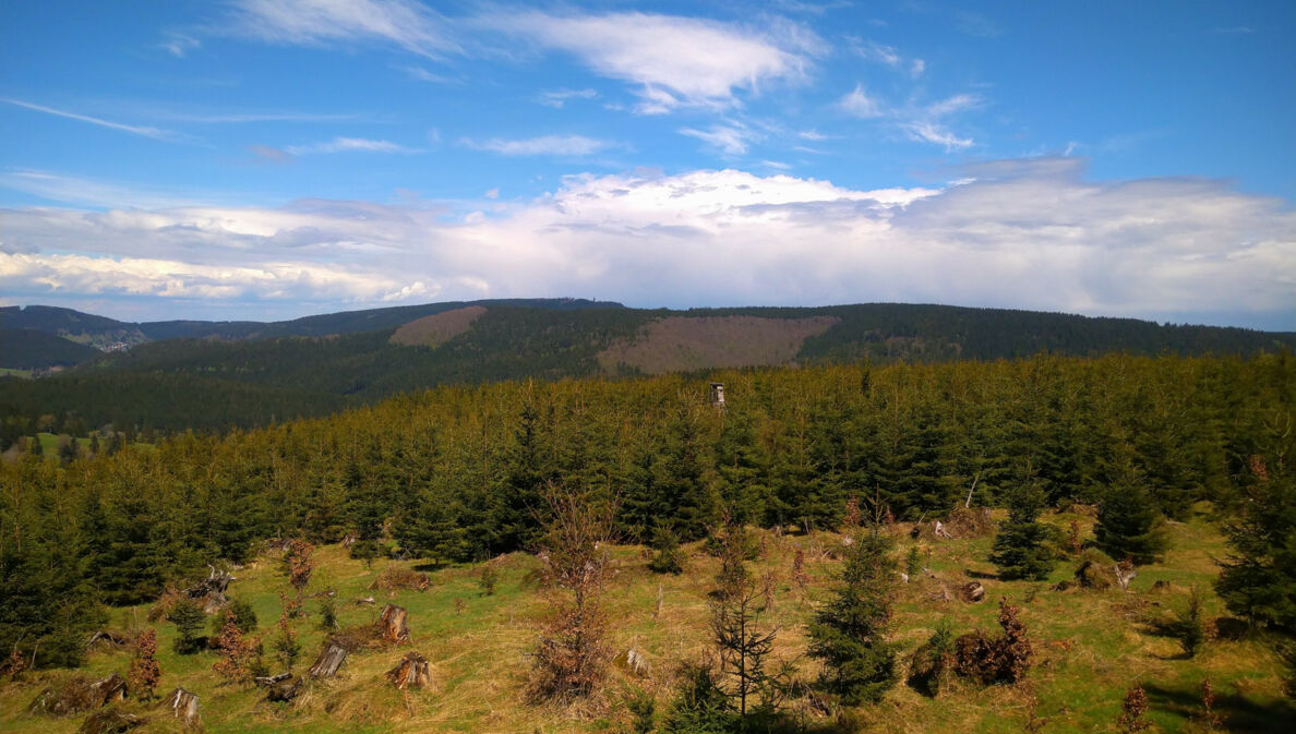 Blick über den Thüringer Wald