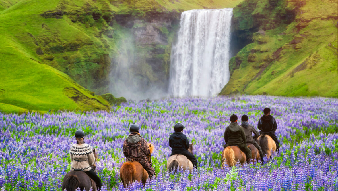 Touristen reiten im Sommer an einem Wasserfall in Island