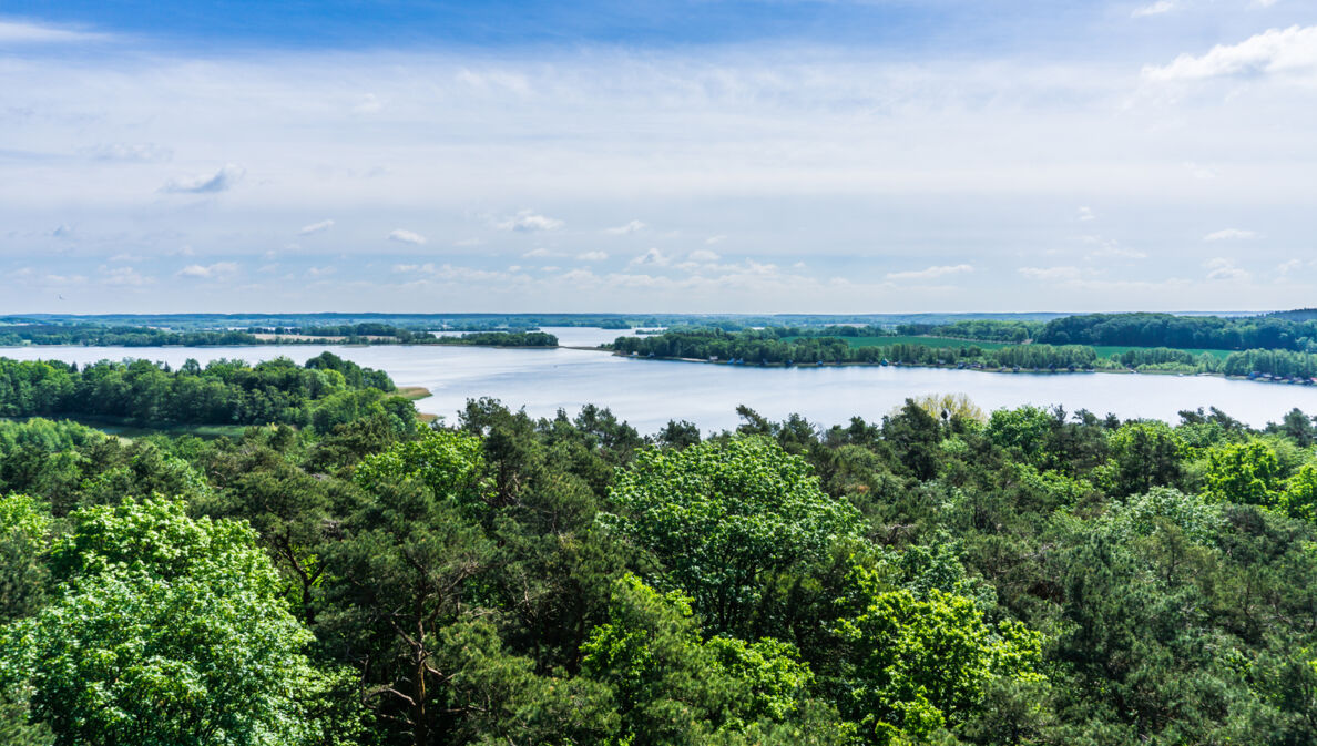 Blick von oben über ein Naturgebiet mit großem Seenanteil.