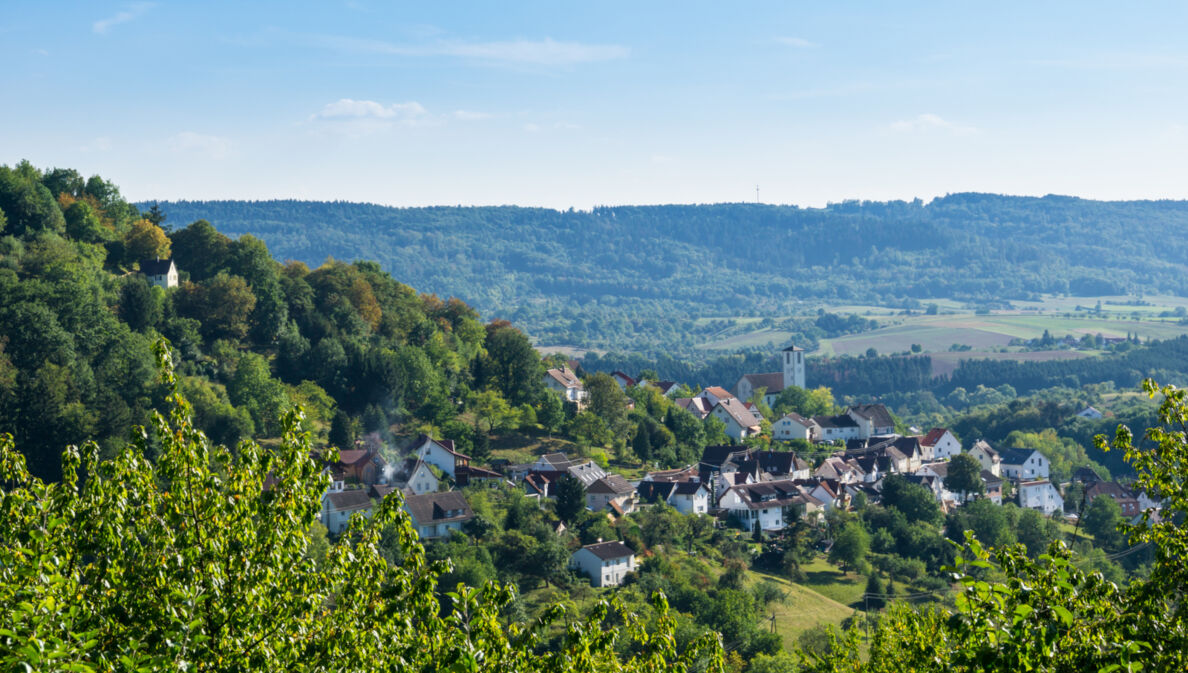 Blick über eine sommerliche Landschaft mit Dorf