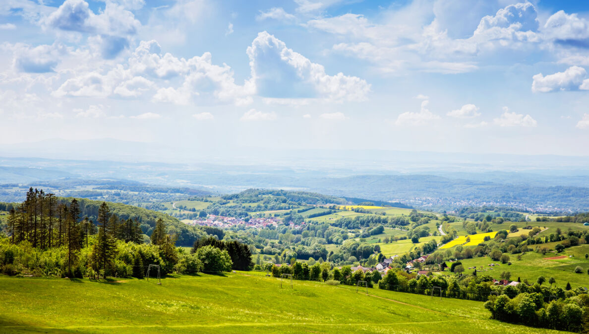 Blick über eine sommerliche Landschaft