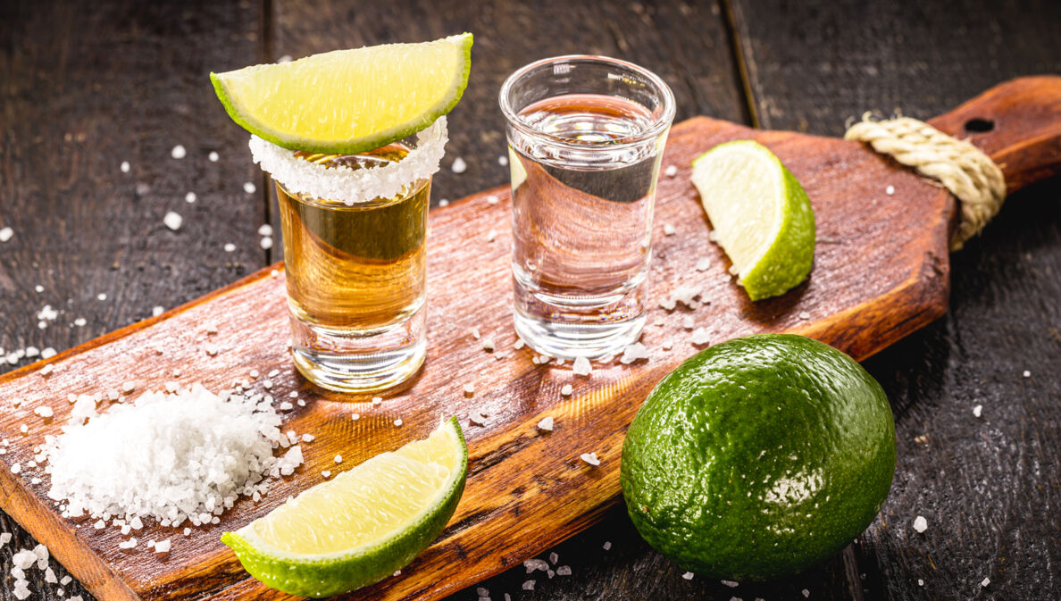 Zwei Gläser Tequila mit Limetten und Salz