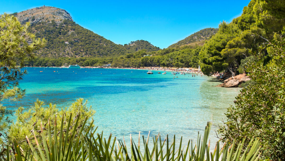 Playa de Formentor, türkisfarbenes Wasser, blauer Himmel, Berge im Hintergrund