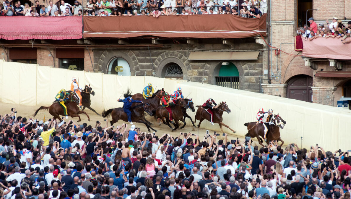 Reiter und Publikum beim Pferderennen Palio di Siena auf dem mittelalterlichen Platz der Stadt