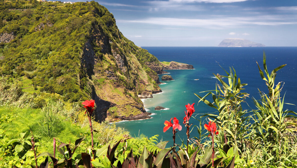 Panoramablick über die Klippen, das Meer und die Flora der Azoreninsel Flores