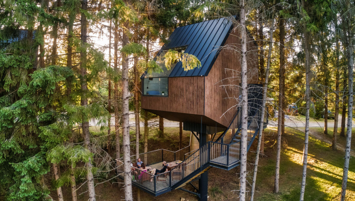 Ein Holzhaus, das zwischen den Baumkronen sitzt