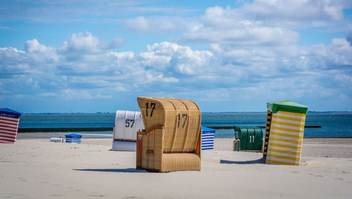 Strandkörbe an einem menschenleeren Sandstrand vor blauem Himmel