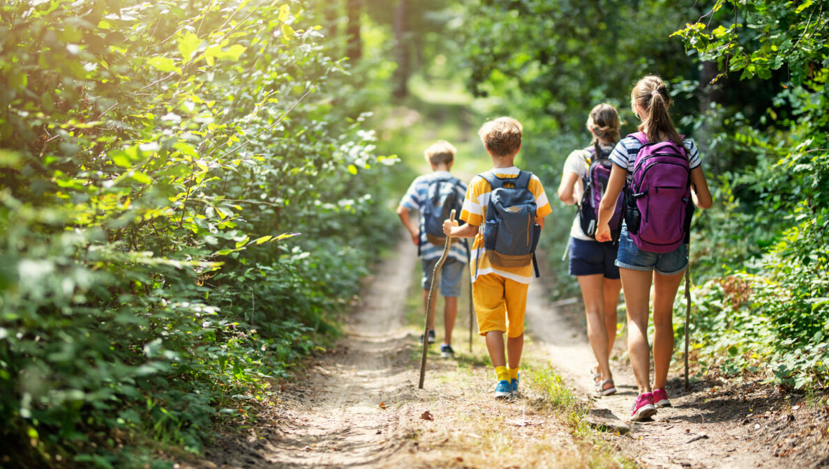 Familie von hinten beim Wandern durch den Wald