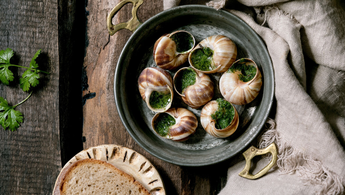 Gekochte Weinbergschnecken mit Kräutern in einer gusseisernen Schale angerichtet, dazu eine Scheibe Brot