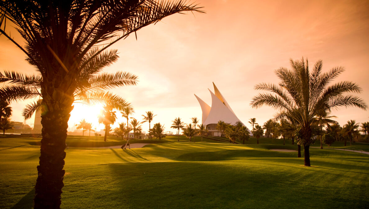 Ein gepflegter Golfplatz mit Palmen im Abendlicht