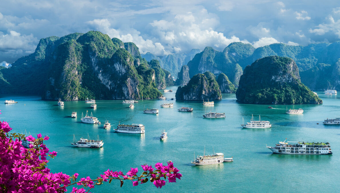 Panorama des Weltwunders der Natur Halong-Bucht mit zahlreichen Booten