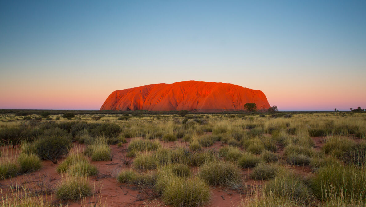 Der gigantische, rote Berg Uluru in einer Steppenlandschaft