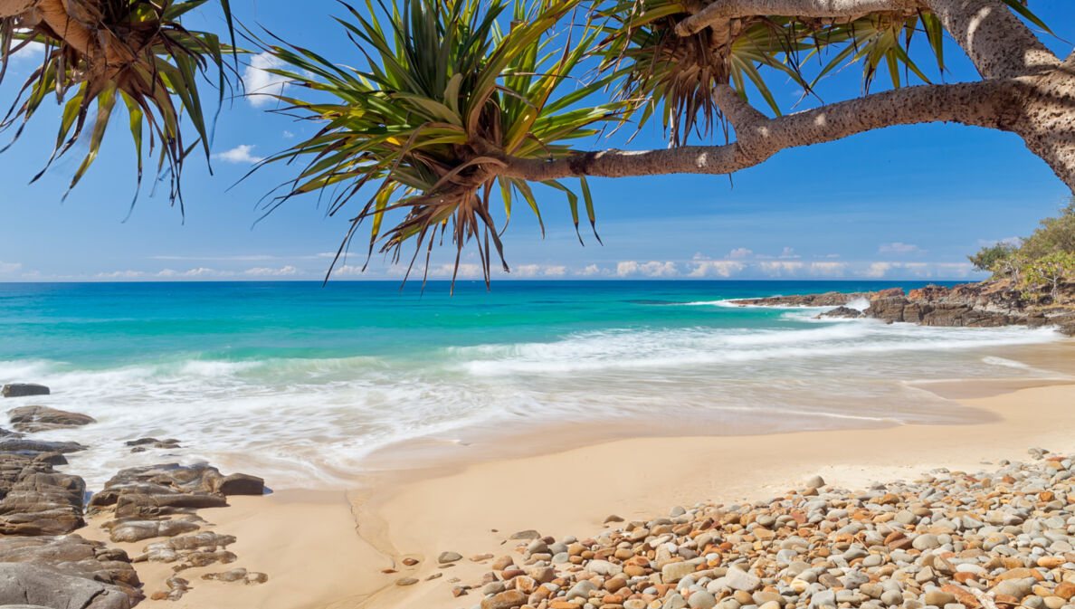 Ein Strand mit Palmen und sanfter Meeresbrandung