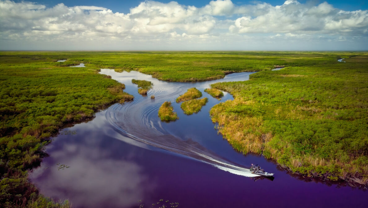 Luftbild der Everglades mit Airboat