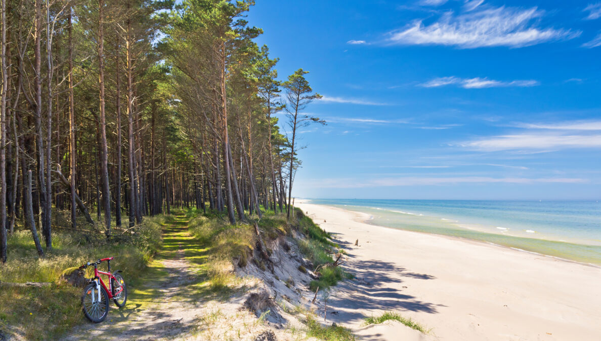 Blick auf einen Sandstrand, an den ein Wald angrenzt