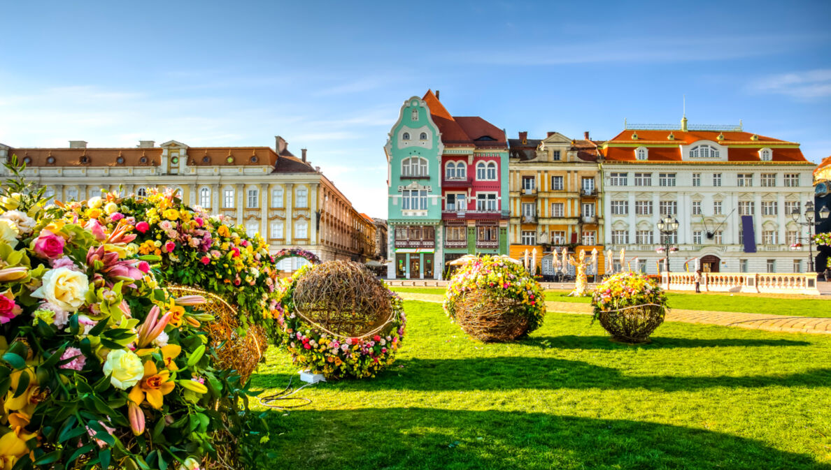 Gebäude und Blumendekor in Timisoara, Rumänien