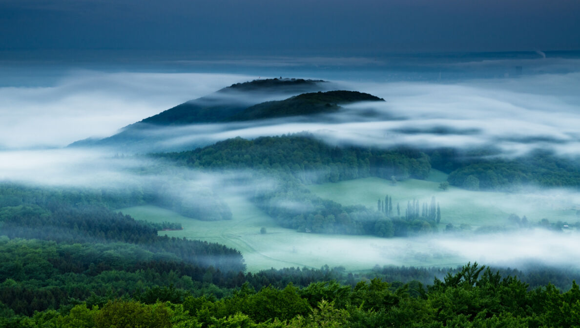 Nebelschwaden über dem Siebengebirge