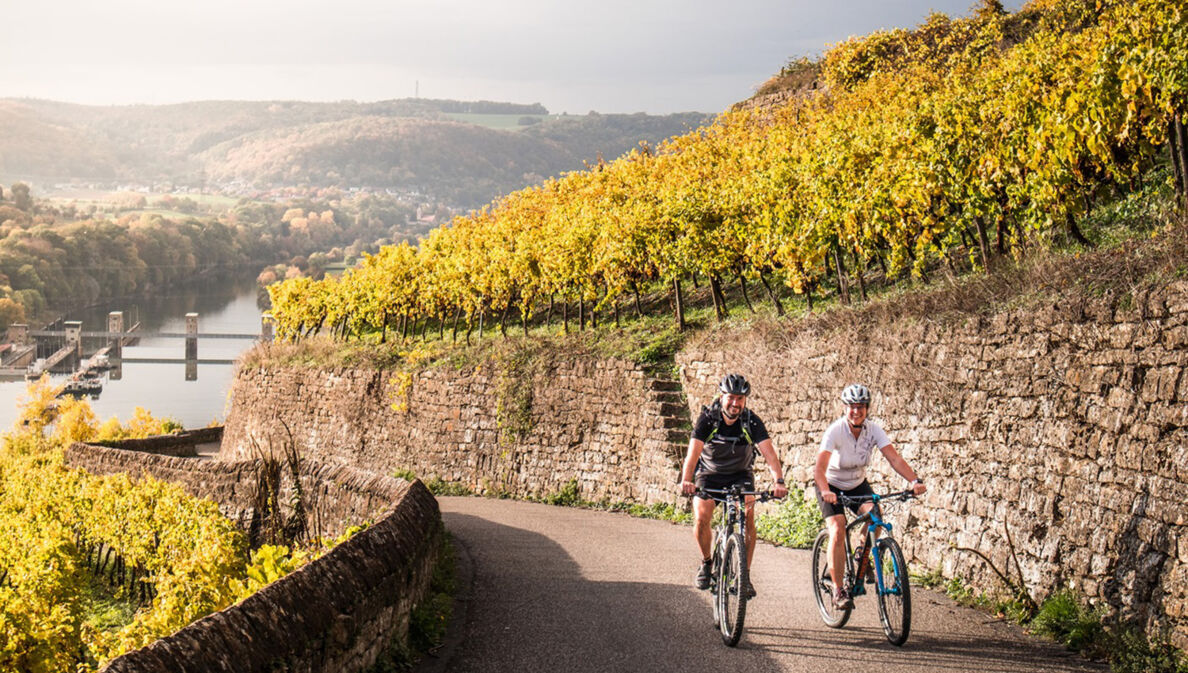 Zwei Radfahrende fahren auf einem asphaltierten Weg einen Weinberg oberhalb eines Flusstals hinauf