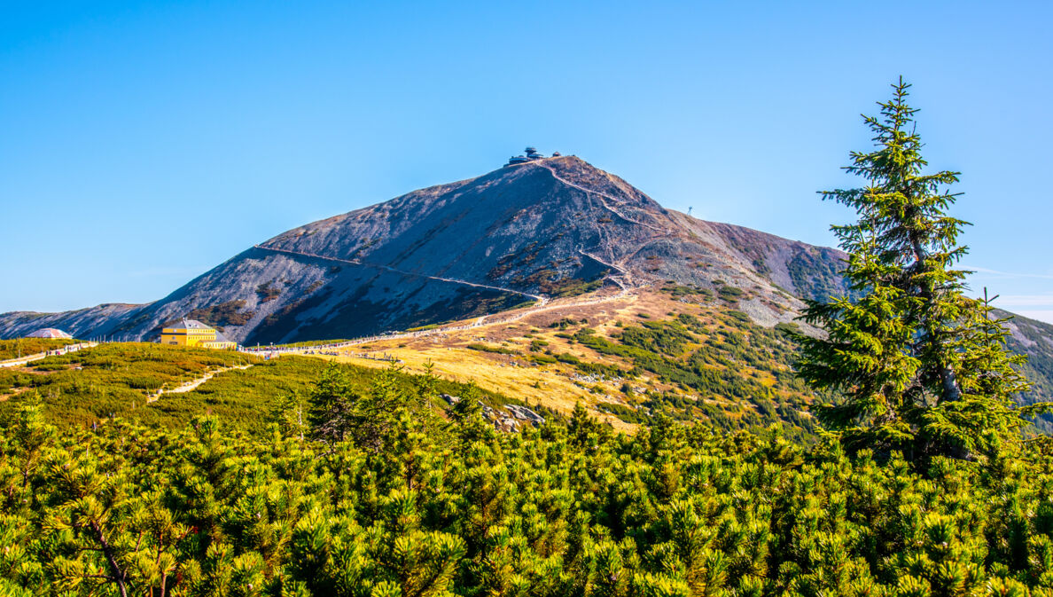 Flacher Berggipfel mit Waldfläche im Vordergrund.