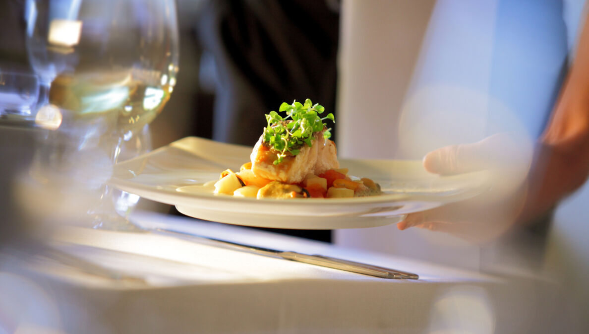 Nahaufnahme eines edel angerichteten Fischgerichtes, das auf einem weißen Teller an einem Tisch mit weißer Tischdecke serviert wird.