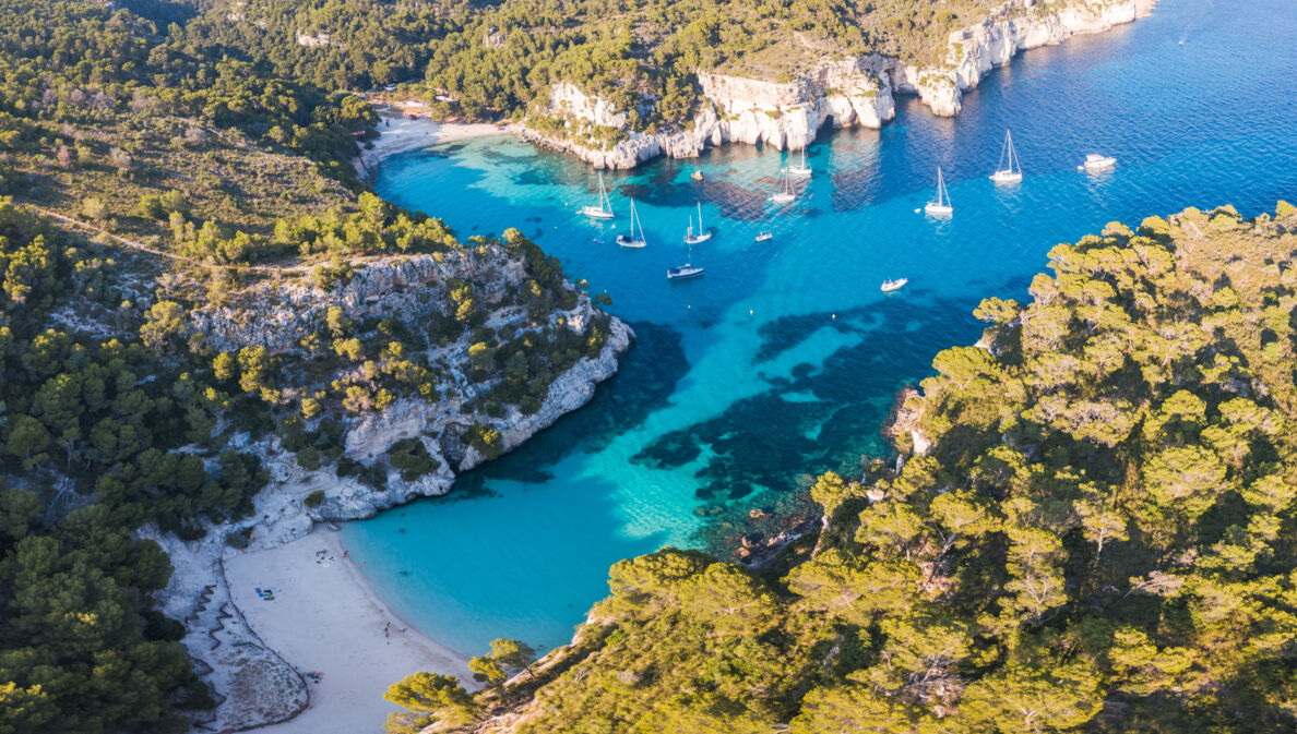 Luftaufnahme eines Küstenabschnitts von Menorca mit Badebuchten, Waldlandschaft und Booten.