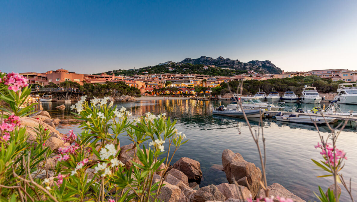 Blick auf den Hafen und Boote von Porto Cervo