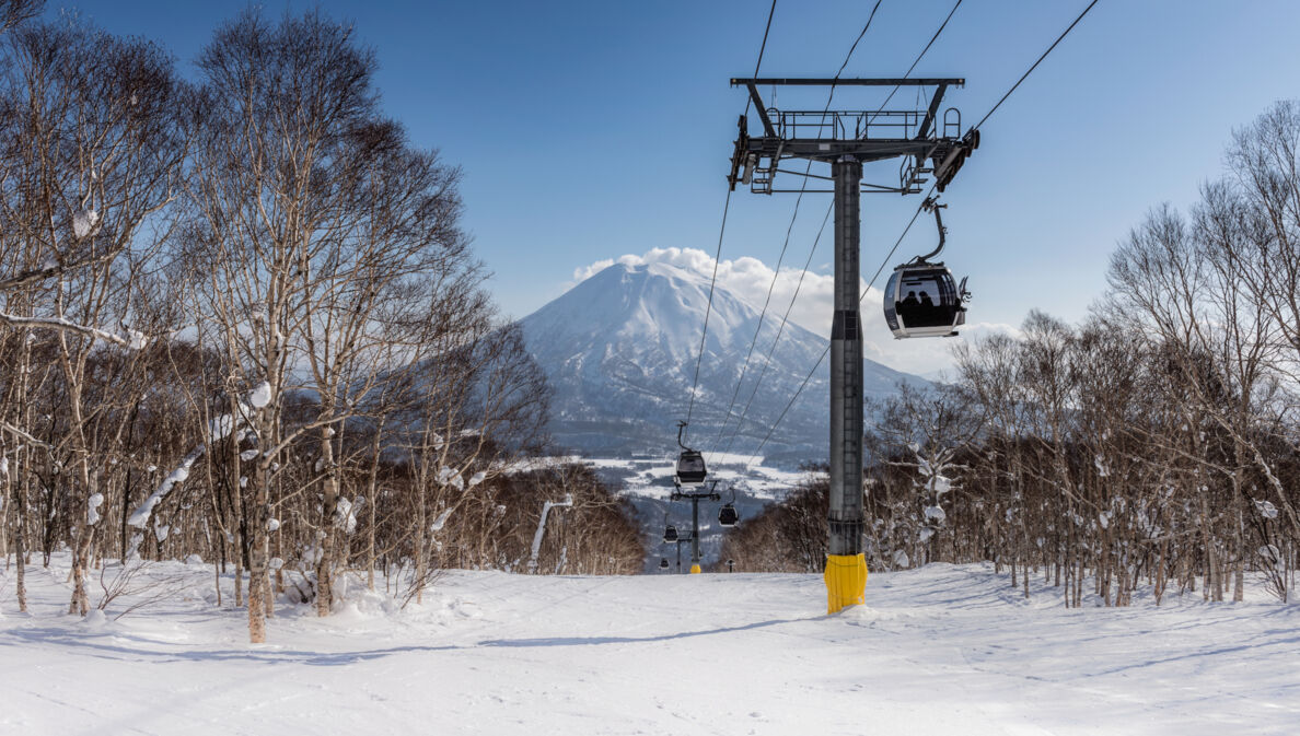 Skilift und Schneelandschaft mit Bäumen. Im Hintergrund ein schneebedeckter Berg und blauer Himmel.