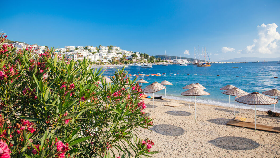 Strand in Bodrum mit Sonnenschirmen mit weißen Häusern an der Küste im Hintergrund.