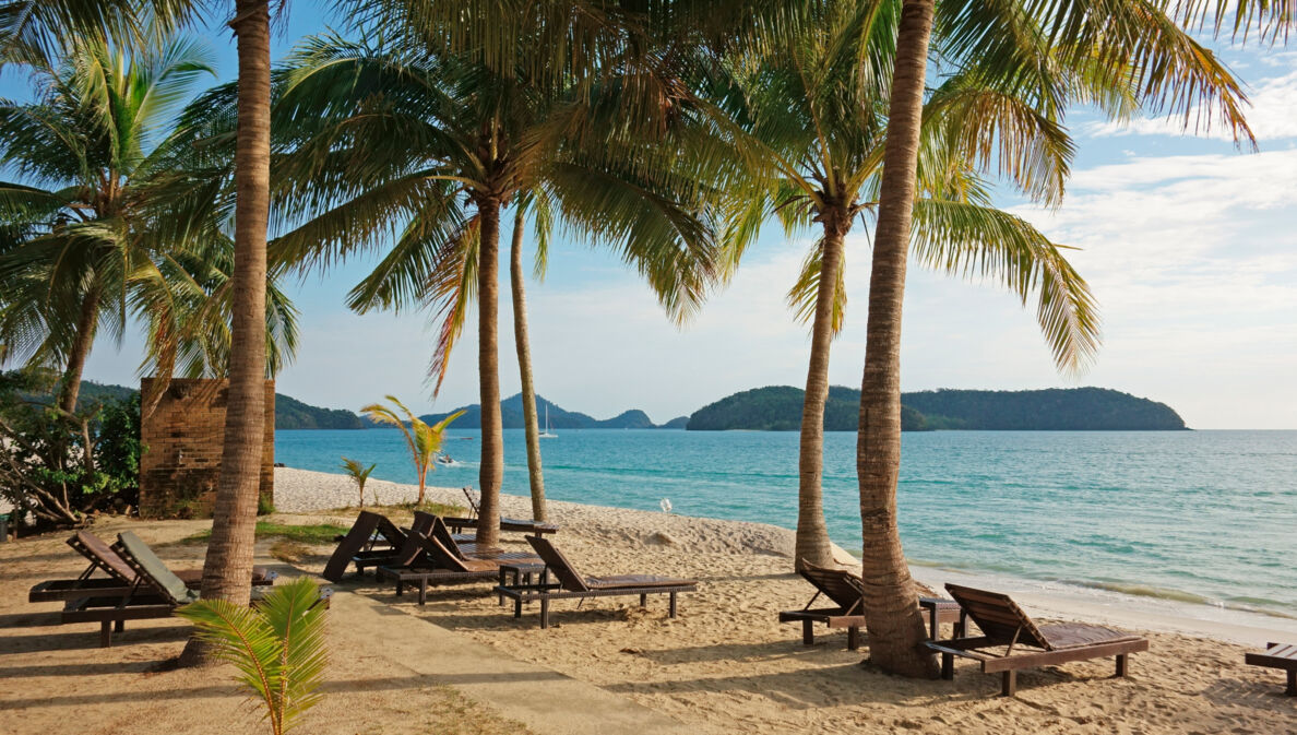 Strandabschnitt mit Palmen und Liegen aus Holz. 