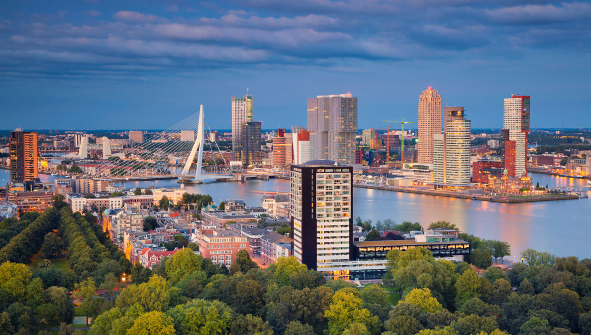 Blick von oben auf eine Stadt in der Dämmerung. Im Vordergrund sind Bäume zu sehen, im Hintergrund moderne Hochhäuser und eine Brücke über einem Fluss.