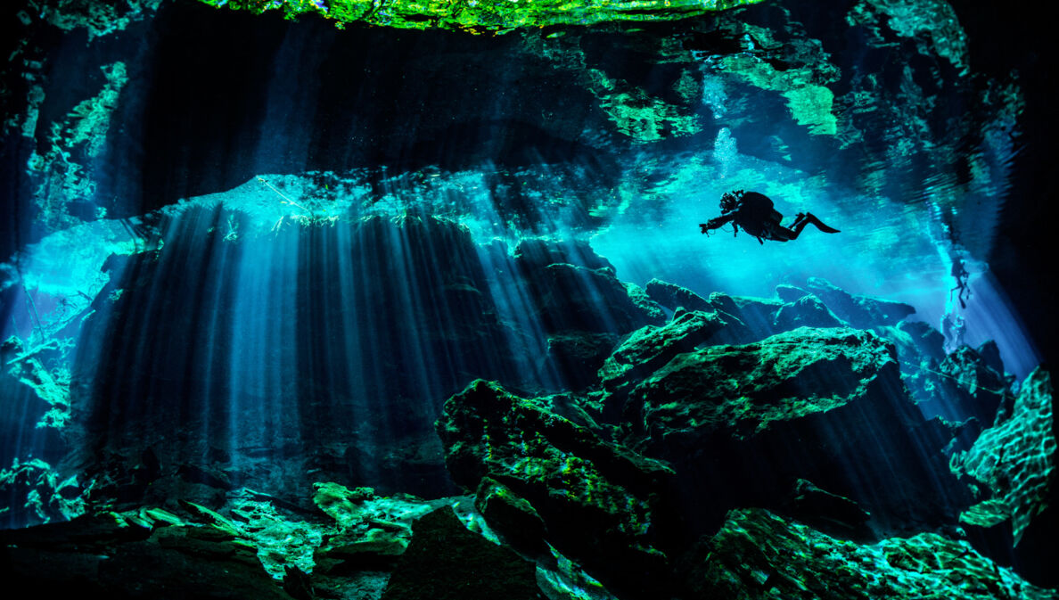 Eine Person in Taucherausrüstung taucht in einer von Wasser gefüllten Höhle. Lichtsäulen ergeben sich durch den starken Lichteinfall von oben im Wasser.