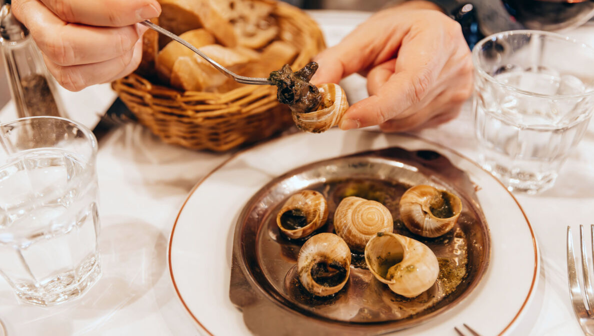 Nahaufnahme von zwei Händen beim Essen von Weinbergschnecken auf einem Teller in einer Brasserie.