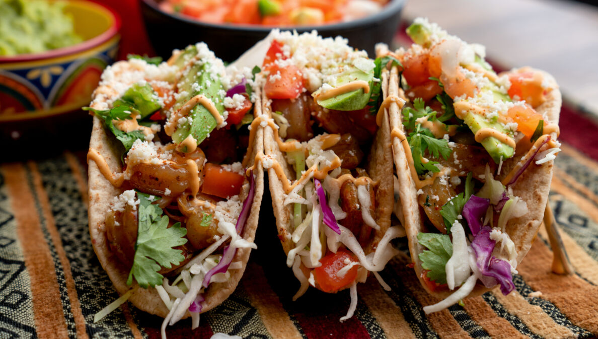 Drei aufgereihte Tacos, die mit Shrimps, Avocado, Koriander und mehr gefüllt und mit Soße angerichtet sind.