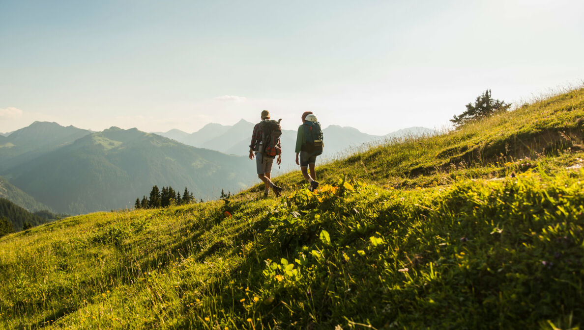 Rückenansicht von zwei Personen, die über eine Bergwiese in Österreich wandern.