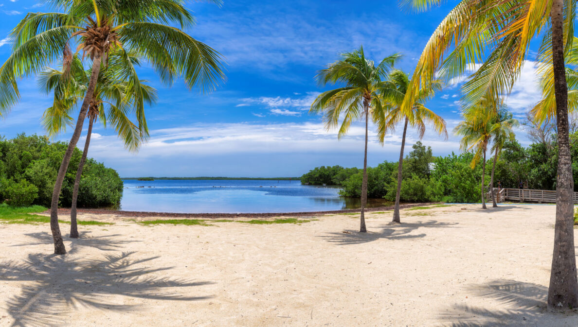 Weißer Sandstrand mit Palmen am türkisblauen Meer unter blauem Himmel.