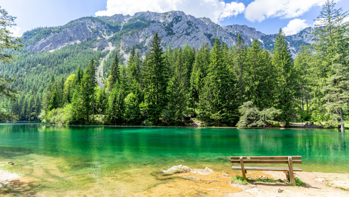 Eine Sitzbank vor einem grün schimmernden See, umgeben von Nadelwald in einer Bergregion.