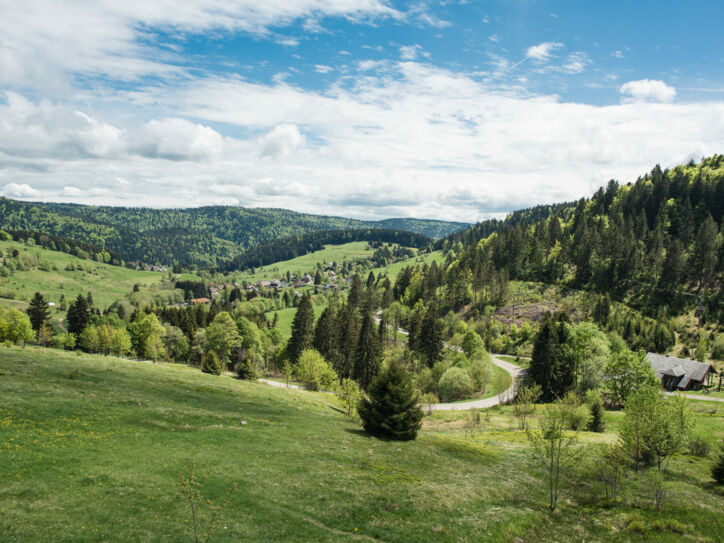 Grüne Berglandschaft im Schwarzwald