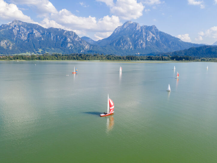 Mehrere kleine Segelboote segeln auf einem See vor einer Bergkulisse