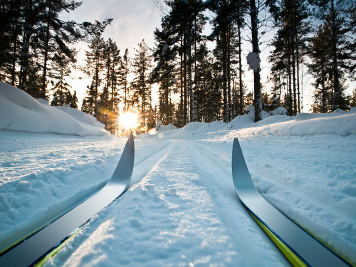 Zwei Langlaufskier im Schnee vor einem Wald mit Sonnenschein.