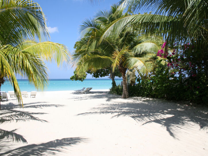 Ein weißer Strand mit Palmen und türkisfarbenen Meer im Hintergrund