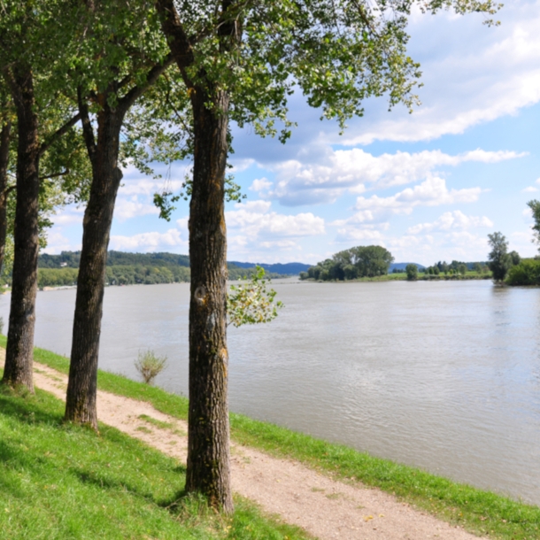 Ein Wanderweg am Ufer eines Flusses mit Bäumen an der Seite