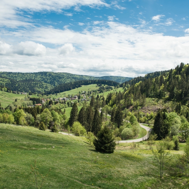 Grüne Berglandschaft im Schwarzwald