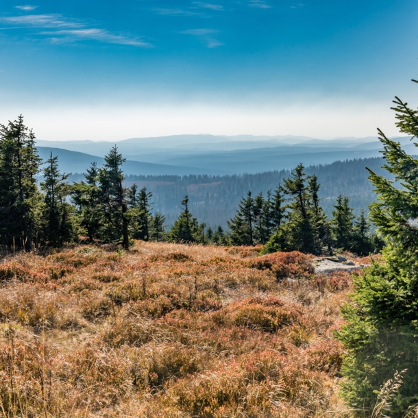 Harzlandschaft, der Brocken