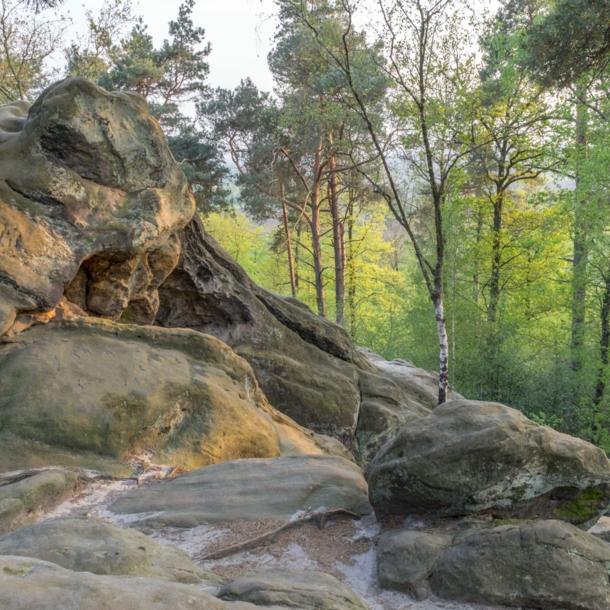 Blick auf die Dörenther Klippen im Teutoburger Wald.