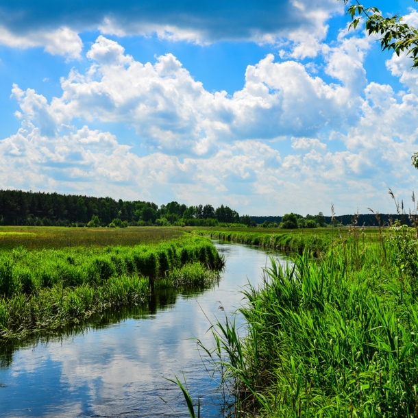 Blick auf die Eider in Schleswig-Holstein