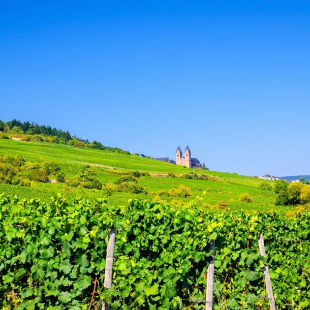 Eine mittelalterliche Abtei inmitten eines Weinbergs