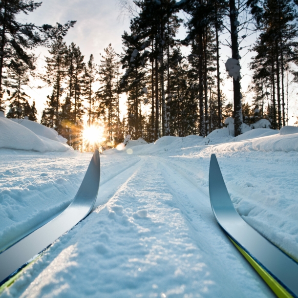 Zwei Langlaufskier im Schnee vor einem Wald mit Sonnenschein.