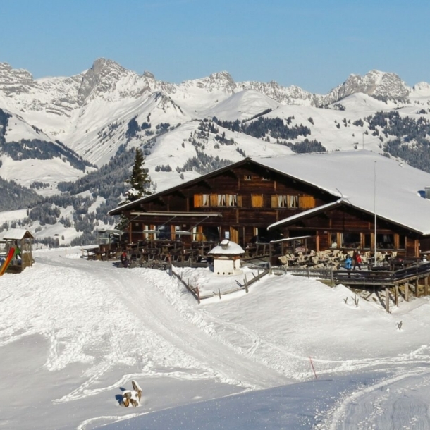 Blick auf die Hohe Wispile in Gstaad