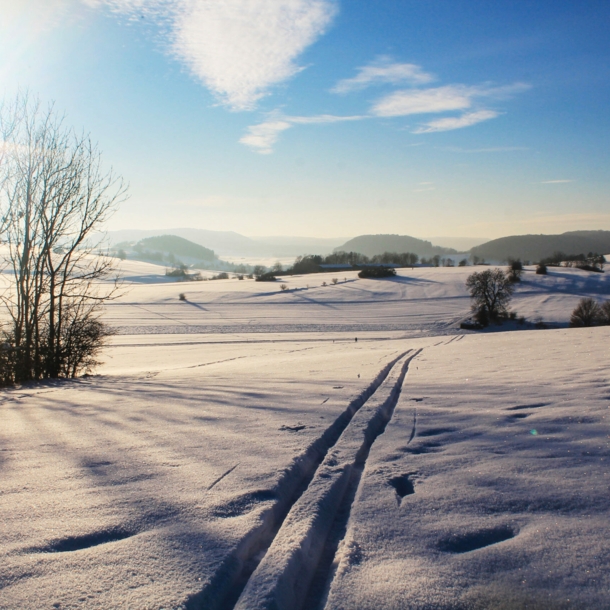 Eine Langlauf-Loipe mit weitem Blick in die ebene Landschaft.